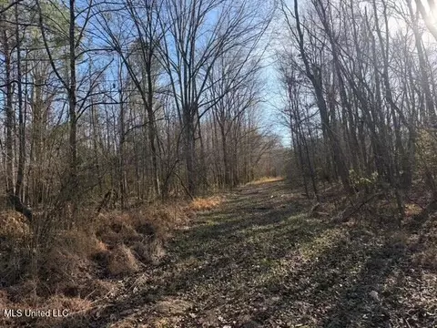 Raymond Road, Jackson, MS 39212 photo 26