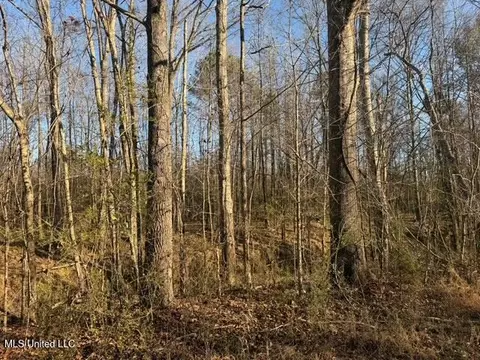 Raymond Road, Jackson, MS 39212 photo 21