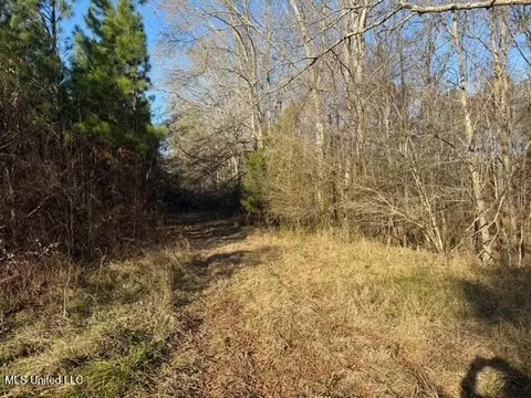 Raymond Road, Jackson, MS 39212 photo 13