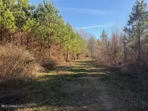 Raymond Road, Jackson, MS 39212 photo 11