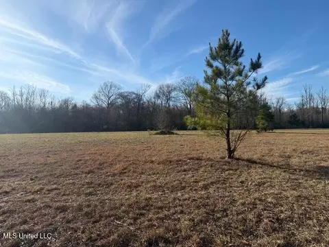 Raymond Road, Jackson, MS 39212 photo 33