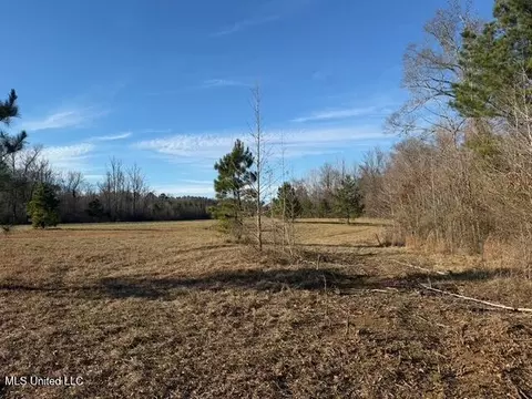 Raymond Road, Jackson, MS 39212 photo 31