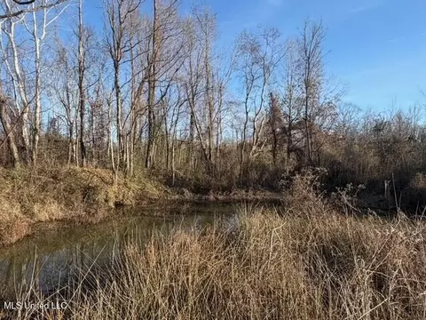 Raymond Road, Jackson, MS 39212 photo 65