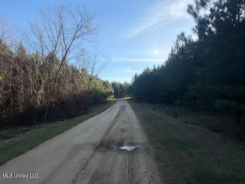 Raymond Road, Jackson, MS 39212 photo 82