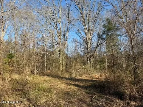 Raymond Road, Jackson, MS 39212 photo 12