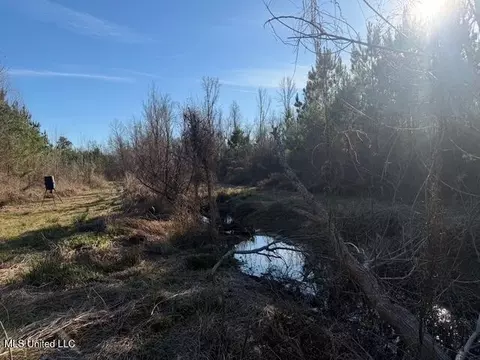 Raymond Road, Jackson, MS 39212 photo 5