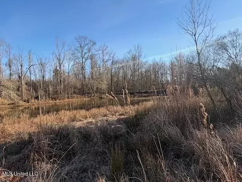 Raymond Road, Jackson, MS 39212 photo 62