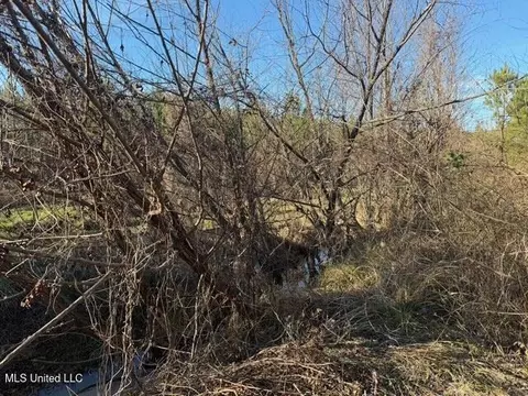Raymond Road, Jackson, MS 39212 photo 6
