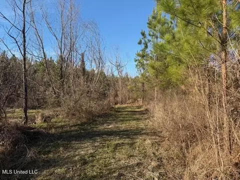 Raymond Road, Jackson, MS 39212 photo 2