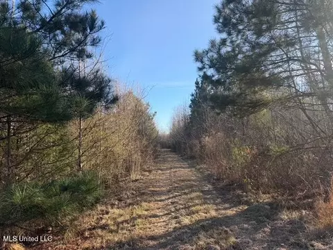 Raymond Road, Jackson, MS 39212 photo 38