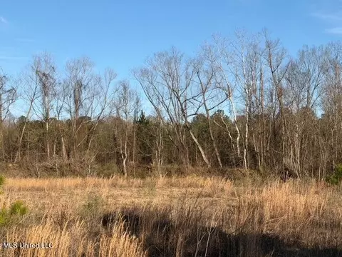 Raymond Road, Jackson, MS 39212 photo 54
