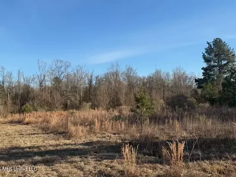 Raymond Road, Jackson, MS 39212 photo 56