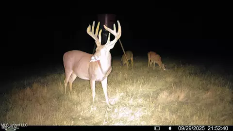 Raymond Road, Jackson, MS 39212 photo 84