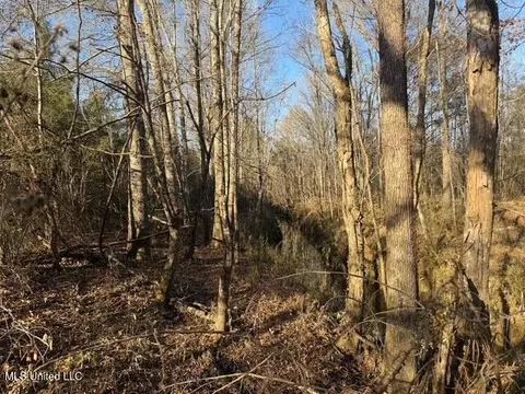 Raymond Road, Jackson, MS 39212 photo 17