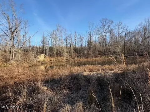 Raymond Road, Jackson, MS 39212 photo 60