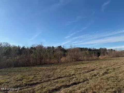 Raymond Road, Jackson, MS 39212 photo 50