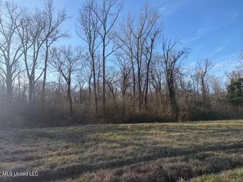 Raymond Road, Jackson, MS 39212 photo 49