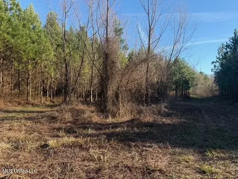 Raymond Road, Jackson, MS 39212 photo 9
