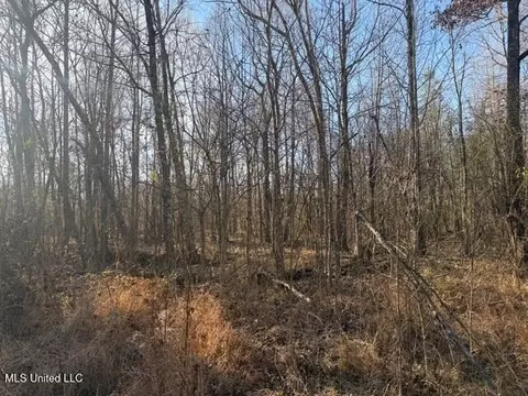 Raymond Road, Jackson, MS 39212 photo 24