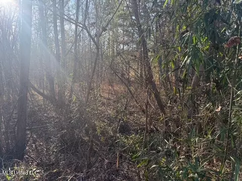 Raymond Road, Jackson, MS 39212 photo 43