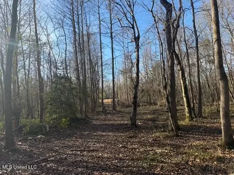 Raymond Road, Jackson, MS 39212 photo 30