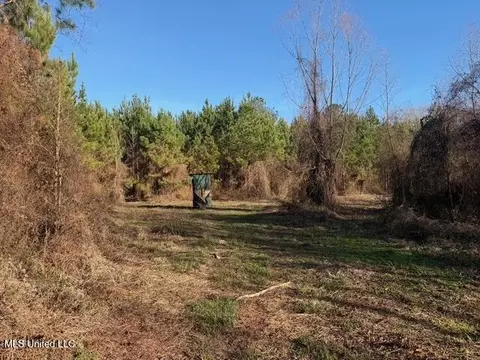 Raymond Road, Jackson, MS 39212 photo 8