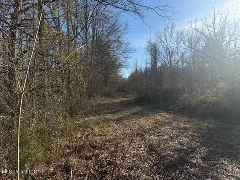 Raymond Road, Jackson, MS 39212 photo 18