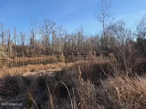 Raymond Road, Jackson, MS 39212 photo 61