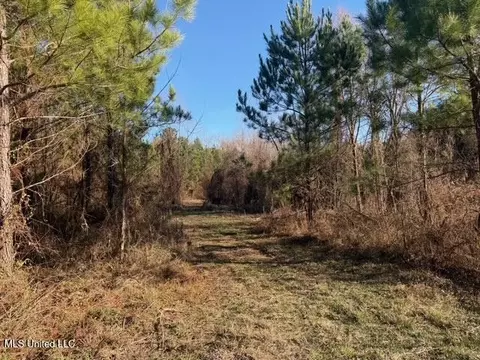 Raymond Road, Jackson, MS 39212 photo 7