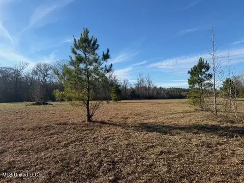 Raymond Road, Jackson, MS 39212 photo 32