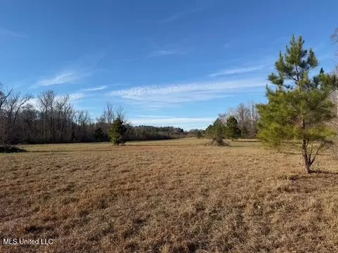 Raymond Road, Jackson, MS 39212 photo 35