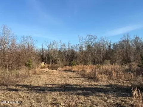 Raymond Road, Jackson, MS 39212 photo 57