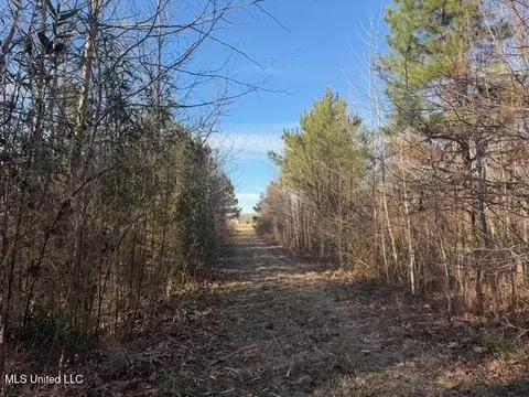 Raymond Road, Jackson, MS 39212 photo 42