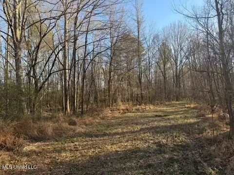 Raymond Road, Jackson, MS 39212 photo 25