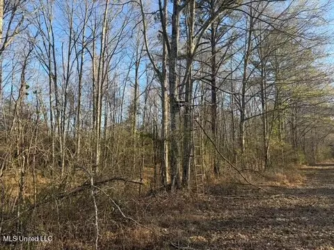 Raymond Road, Jackson, MS 39212 photo 20