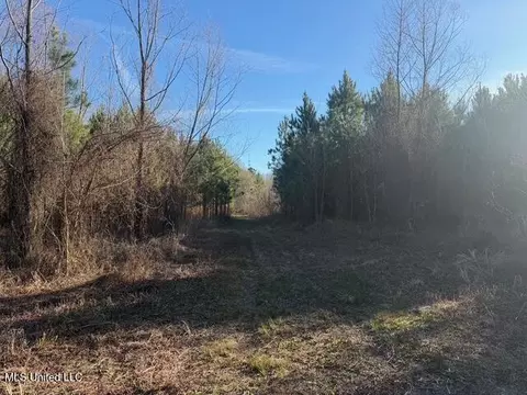 Raymond Road, Jackson, MS 39212 photo 10
