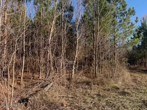 Raymond Road, Jackson, MS 39212 photo 3