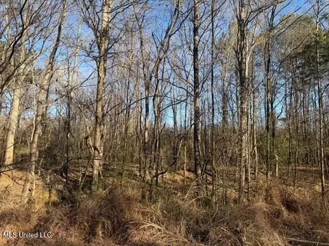 Raymond Road, Jackson, MS 39212 photo 22