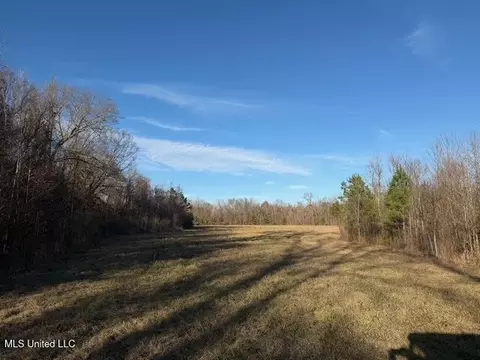 Raymond Road, Jackson, MS 39212 photo 45