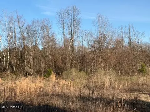 Raymond Road, Jackson, MS 39212 photo 55