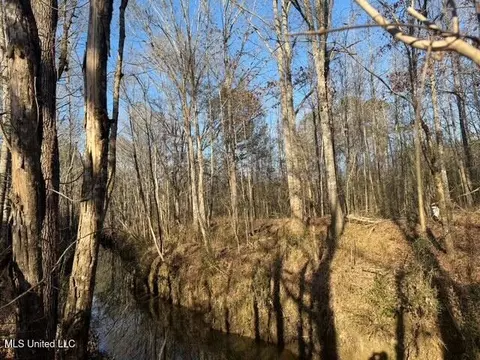 Raymond Road, Jackson, MS 39212 photo 15