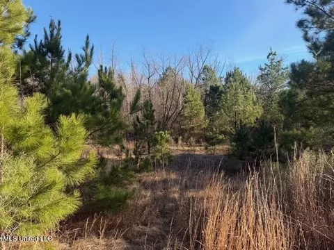 Raymond Road, Jackson, MS 39212 photo 37