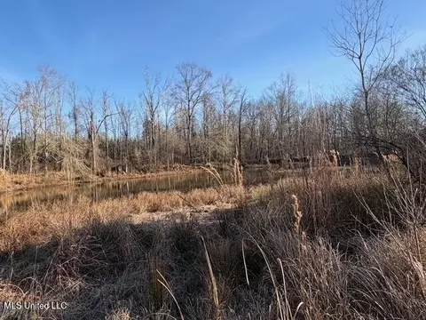 Raymond Road, Jackson, MS 39212 photo 59