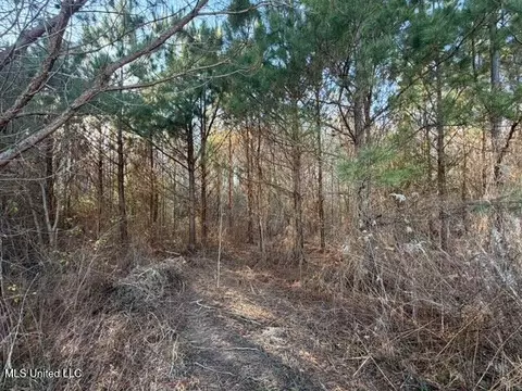 Raymond Road, Jackson, MS 39212 photo 67
