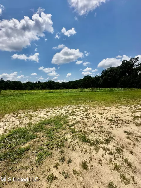 Other - 118 Trevor Ln, Lucedale, MS 39452 photo 5 of 9