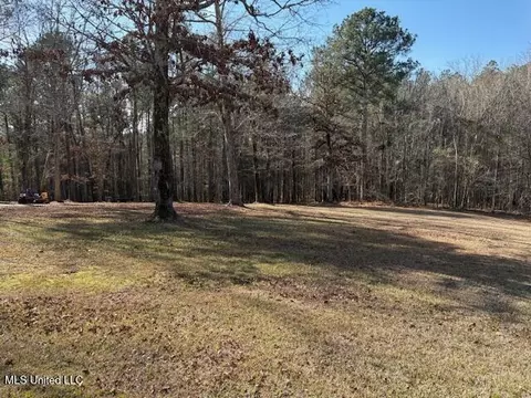 315 Mclemore Road Rd, Walnut Grove, MS 39189 photo 32