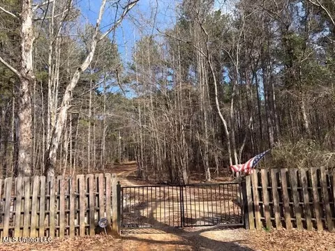 315 Mclemore Road Rd, Walnut Grove, MS 39189 photo 37
