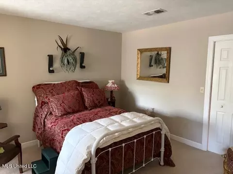 315 Mclemore Road Rd, Walnut Grove, MS 39189 photo 29