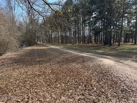 315 Mclemore Road Rd, Walnut Grove, MS 39189 photo 38