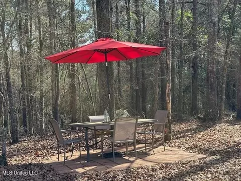 315 Mclemore Road Rd, Walnut Grove, MS 39189 photo 31